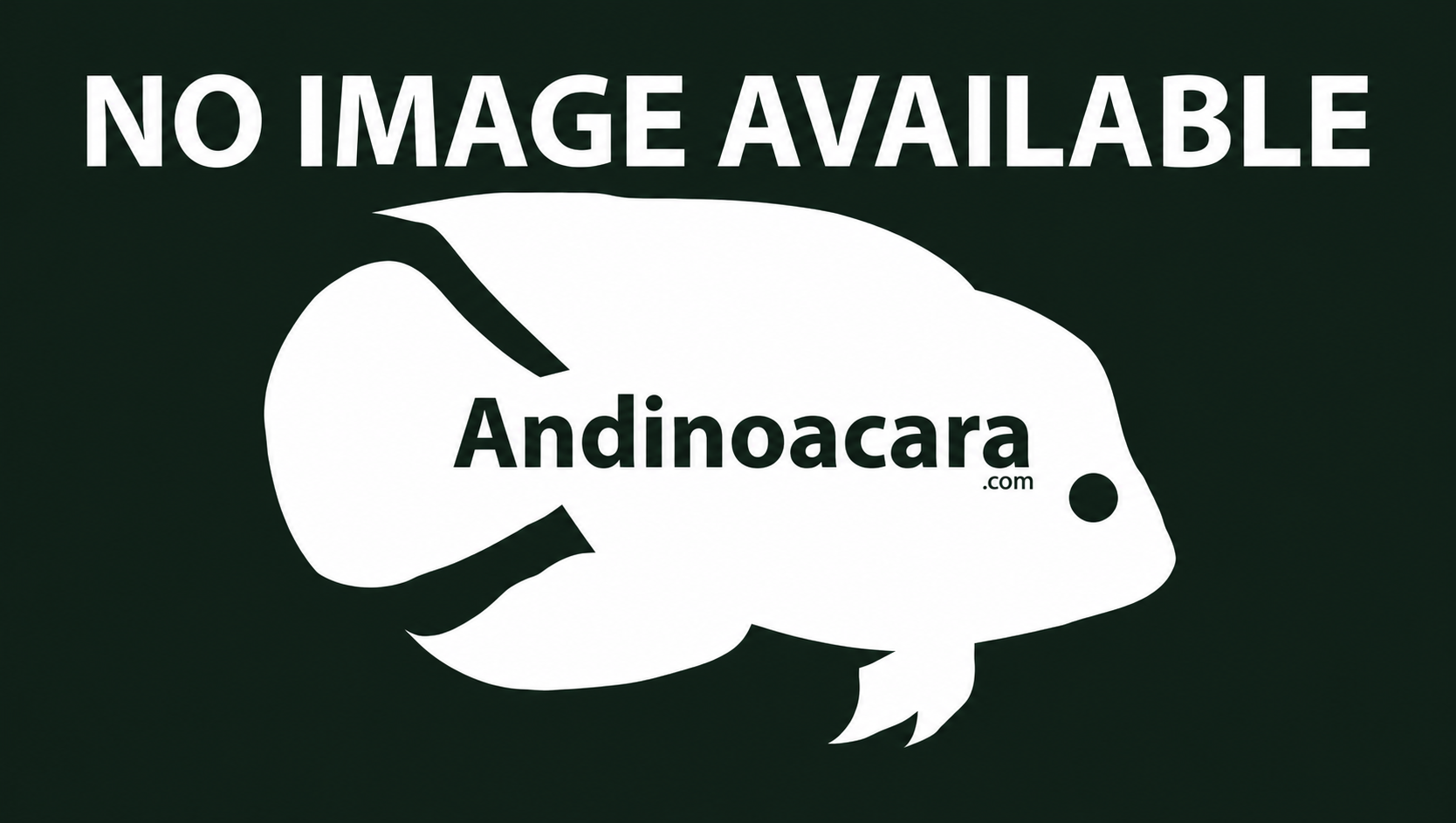 No photograph available